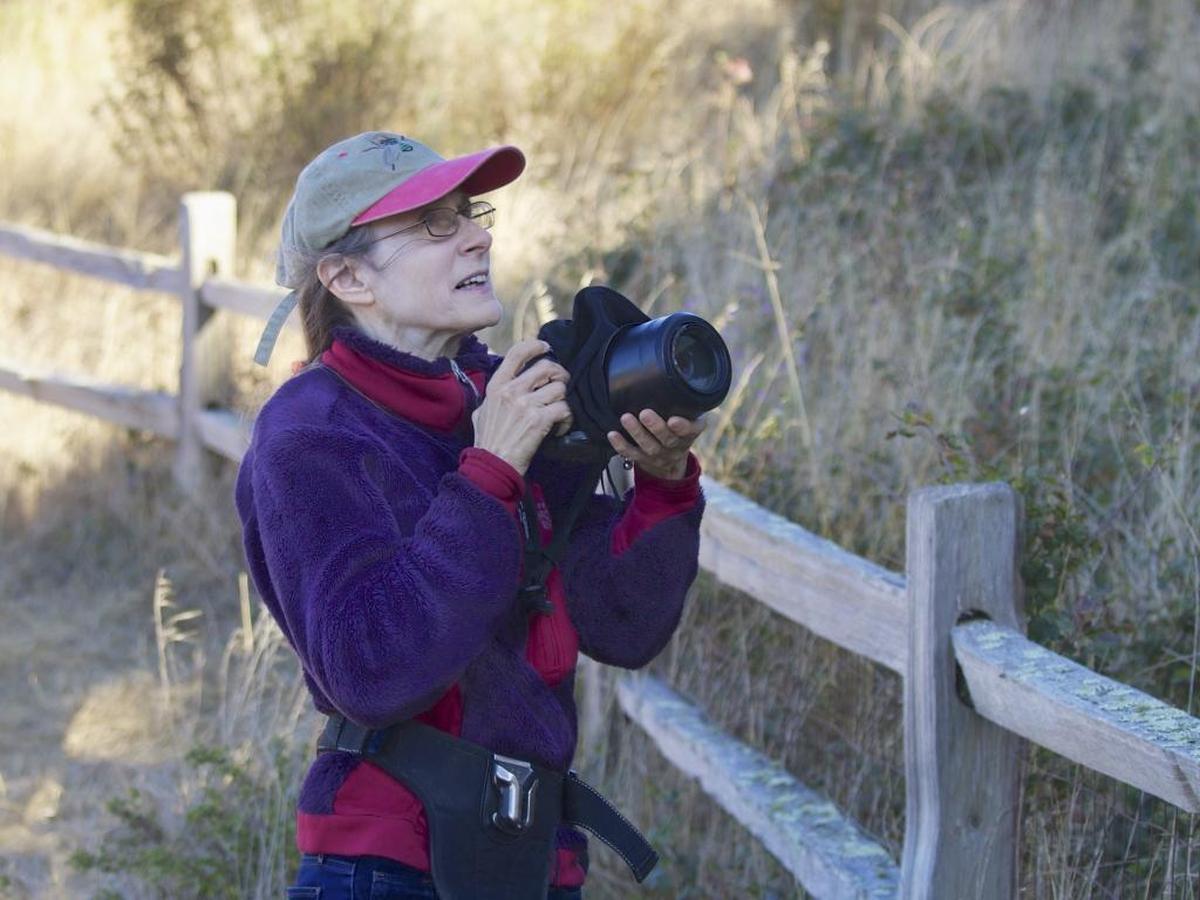 Janet Kessler has spent up to six hours a day the past decade watching and photographing coyotes in San Francisco's parks. While they also inhabit rural, suburban and some urban areas around the state, coyotes in this densely populated, dog-centric city face different challenges.