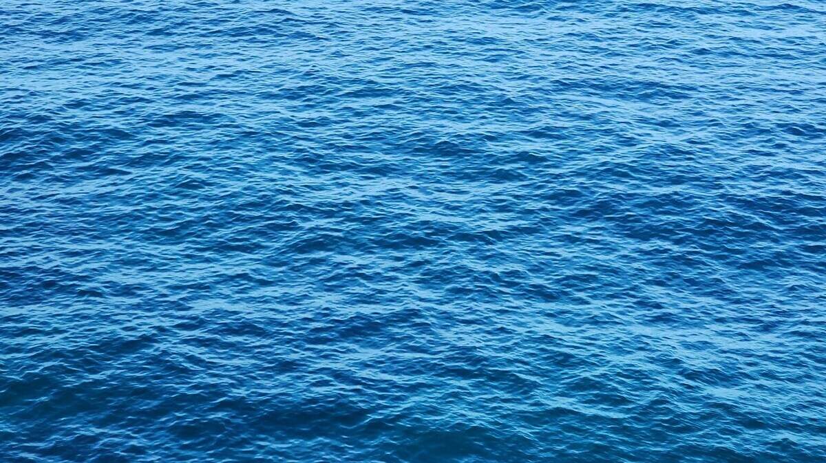 A fishing boat captain must pay after being accused of polluting California waters, officials said.