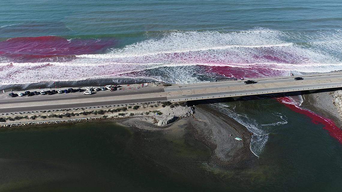 An experiment led by UC San Diego Scripps Institution of Oceanography and University of Washington left part of the Pacific Ocean pink in the name of science, researchers said.