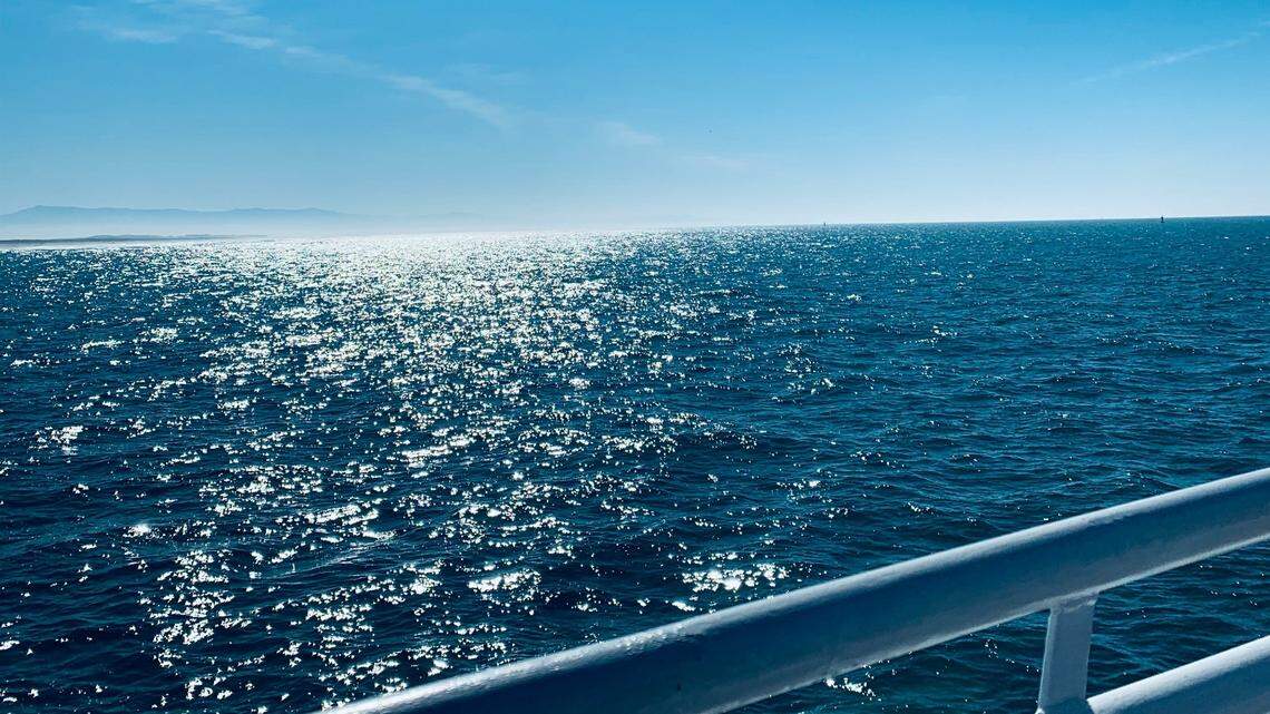 Killer whales are social creatures that live and travel in pods. They even have pod-specific anthems they repeat to one another.