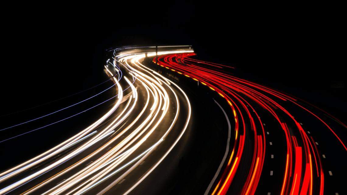 Animal control officers stopped traffic on part of Interstate 80 into San Francisco to rescue a rabbit on the side of the highway.