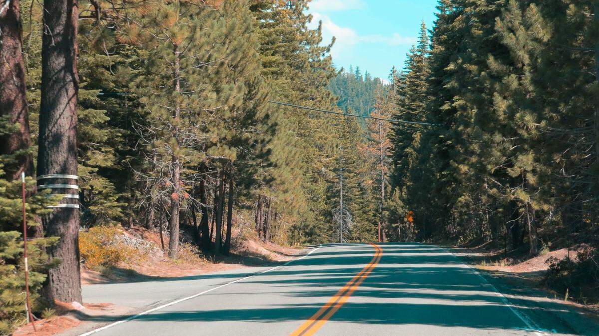California Highway Patrol officers stopped to move a rock out of a roadway (not the one pictured) in South Lake Tahoe and realized it was an animal.