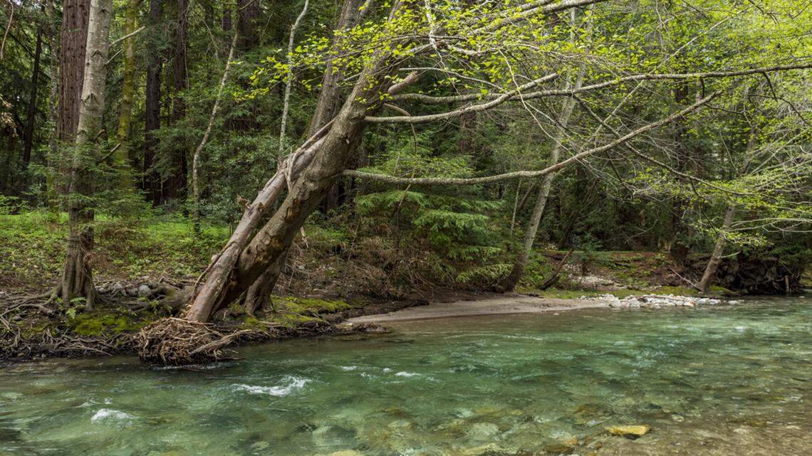 Pfeiffer Big Sur State Park is one of the best and most affordable outdoorsy getaways in the U.S., according to a new list. 