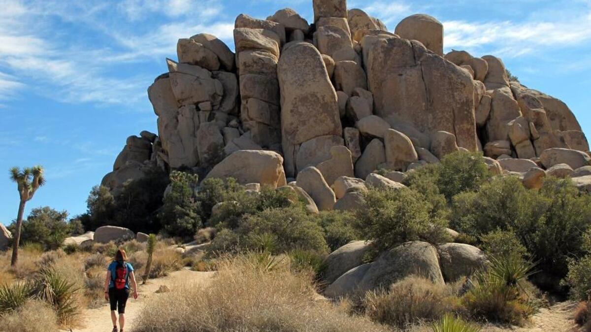 Triple-digit heat and thunderstorms hinder the search for Joseph Orbeso and Rachel Nguyen at Joshua Tree National Park in southern California.