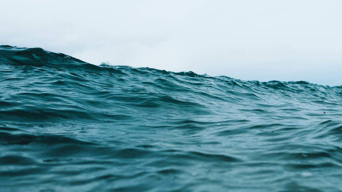 Whale watchers noticed something strange about the humpback they spotted off the coast of California.
