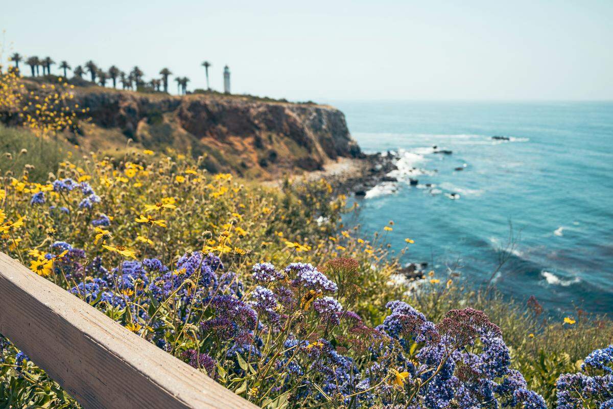 California’s great weather and varied geography make it the No. 1 spot for an adventure vacation in the United States, according to a new study by vacation rental marketplace Florida Rentals.