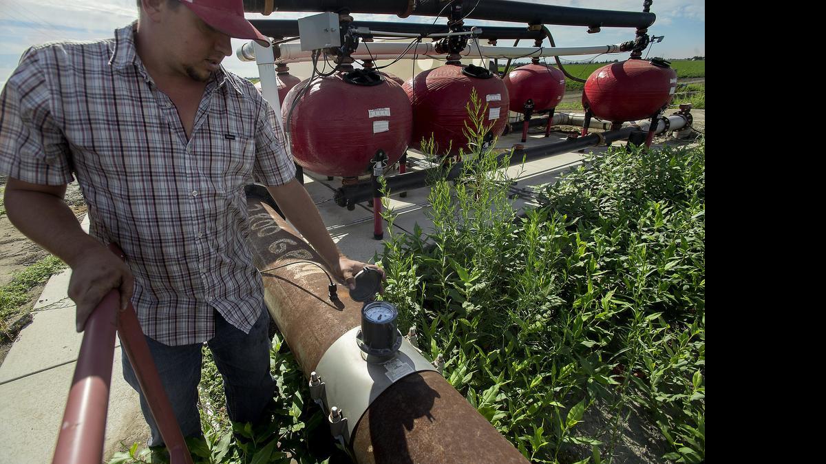 
Farmer Garrett Mussi checks a water meter on his farm on Roberts Island near Stockton on July 7.
