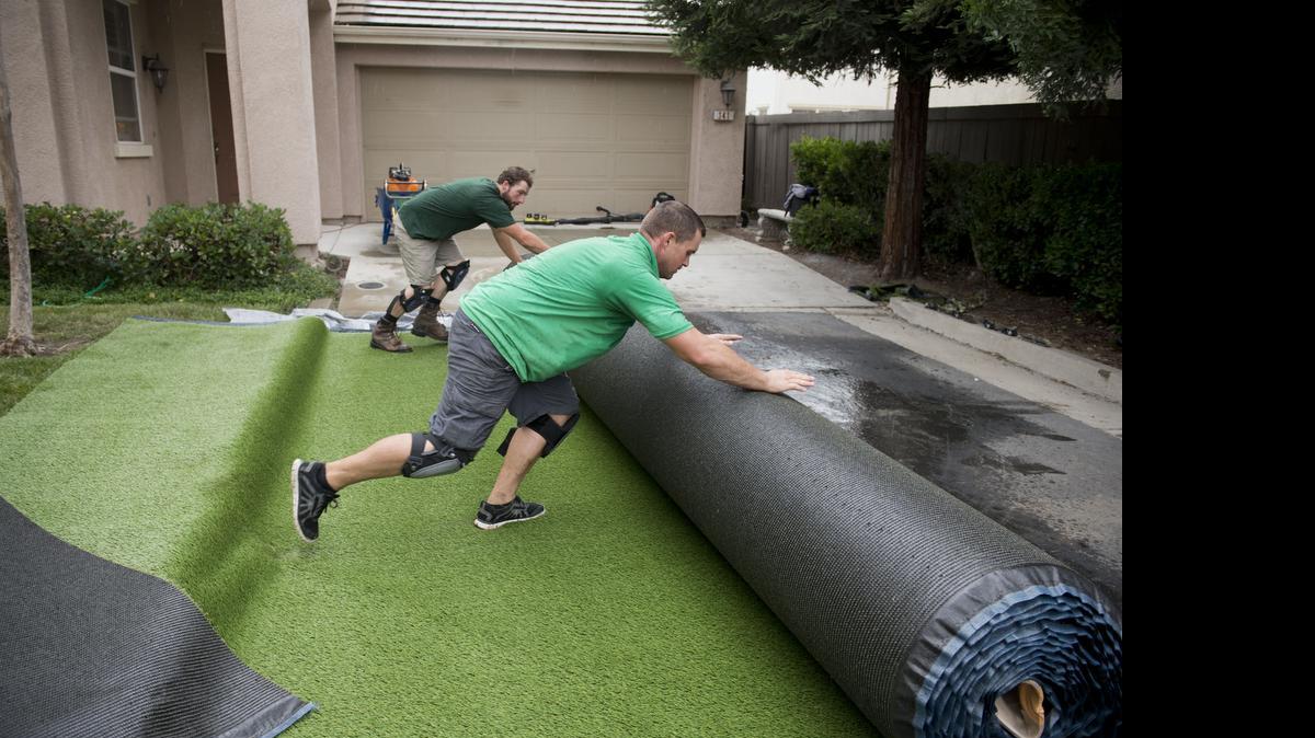 
Brian Lopes, front, and Derick Caron, installers with Pacific Grass & Turf, roll out sections of artificial grass to be cut and placed last Monday at a client’s home in North Natomas. With the drought in its fourth year, Sacramento may relax a long-standing ban on artificial turf on front lawns.
