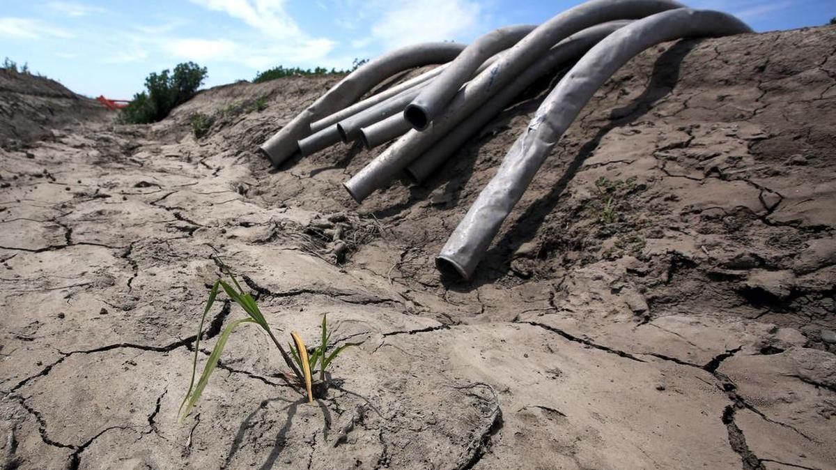 
Irrigation pipes sit along a dried-up canal on a farm field near Stockton.
