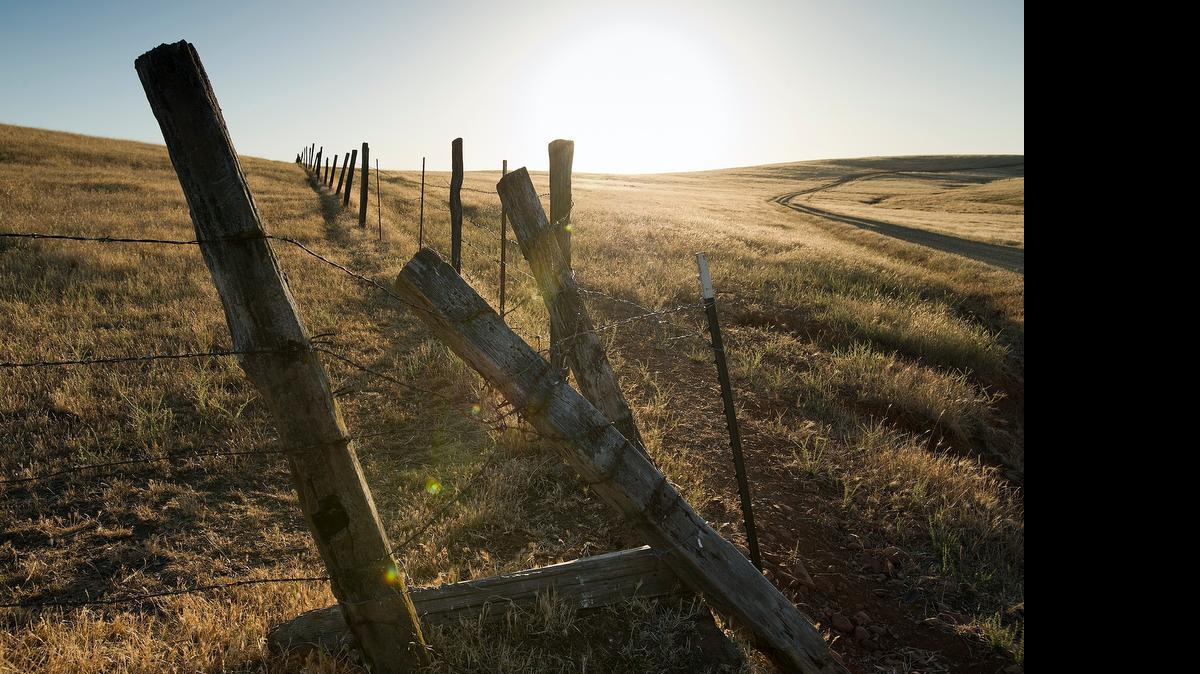
The city of Folsom plans to add 10,000 housing units on rangeland south of Highway 50 over the next few decades, relying on continued conservation efforts to provide water supplies. 
