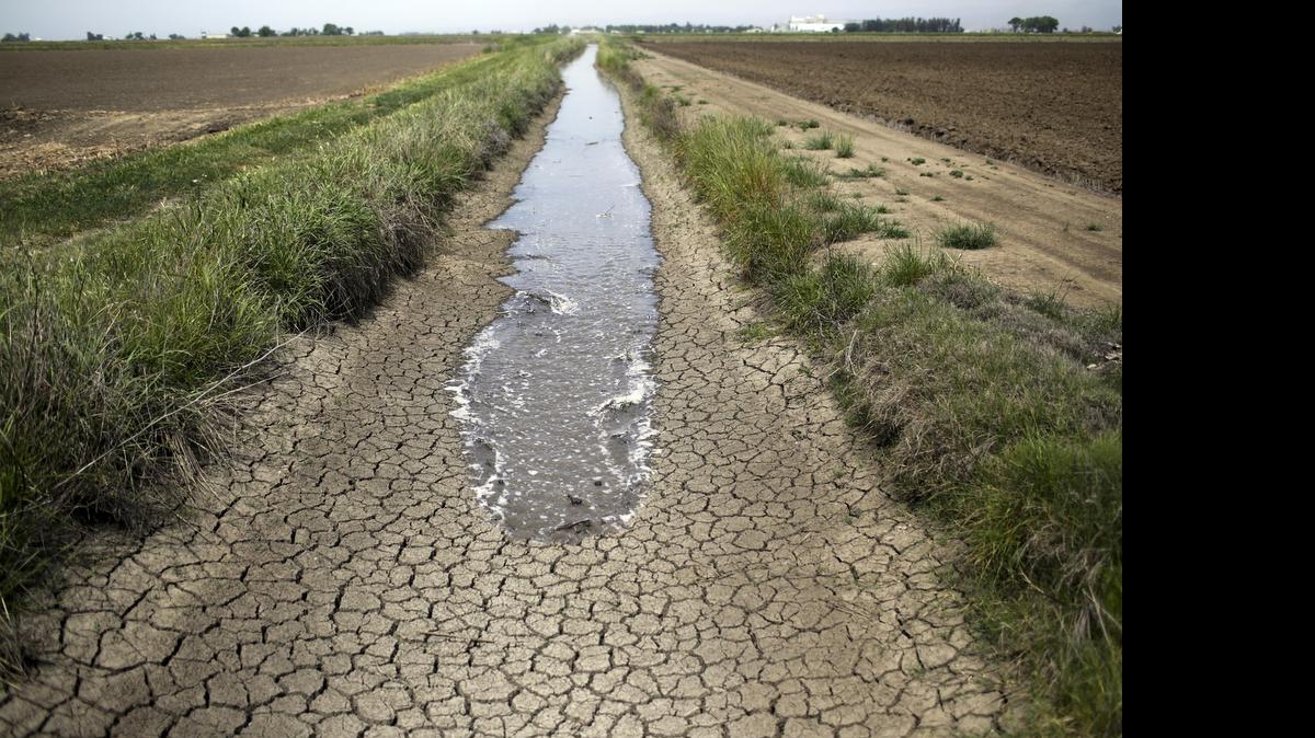 
Irrigation water runs along a dried-up ditch between rice farms in Richvale last year. State officials are considering additional cutbacks for farm districts as the drought continues.
