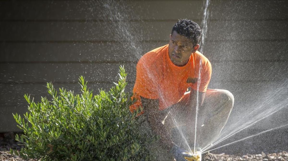 As water agencies across the Sacramento region begin lifting restrictions on sprinkler use, Don Engineer, owner of Prestige LawnCare, has noticed an uptick in irrigation business. “This year, they want to get their lawn back,” he said.