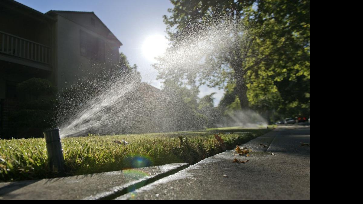 
Most local agencies now limit outdoor watering to two days a week. Two agencies – West Sacramento and the Sacramento County Water Agency – allow yard watering only once a week. Agencies generally have told residents to restrict outdoor watering to specific days, making it easy to see who is breaking the rules.
