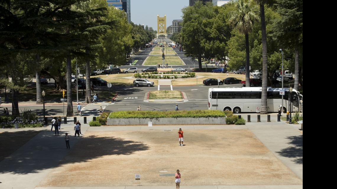 
The Capitol lawn has turned brown to conserve water during California’s severe drought.

