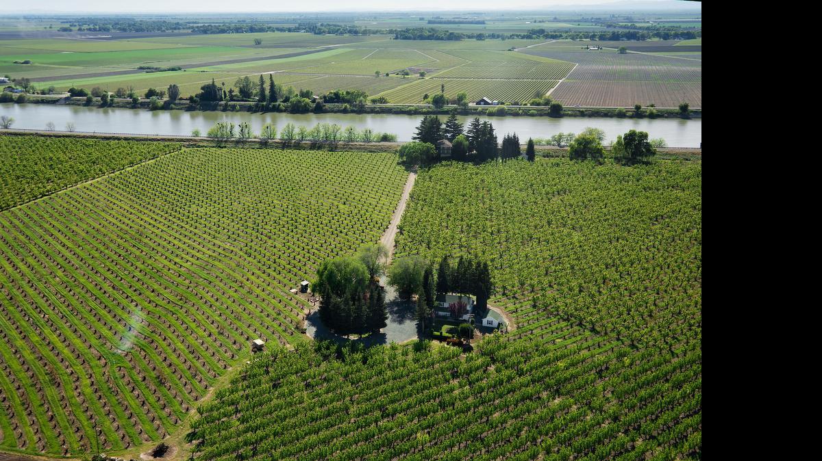 The State Water Resources Control Board approved the settlement with scores of Delta farmers, heading off a potentially lengthy legal battle over the state’s ability to halt diversions from rivers and streams.
