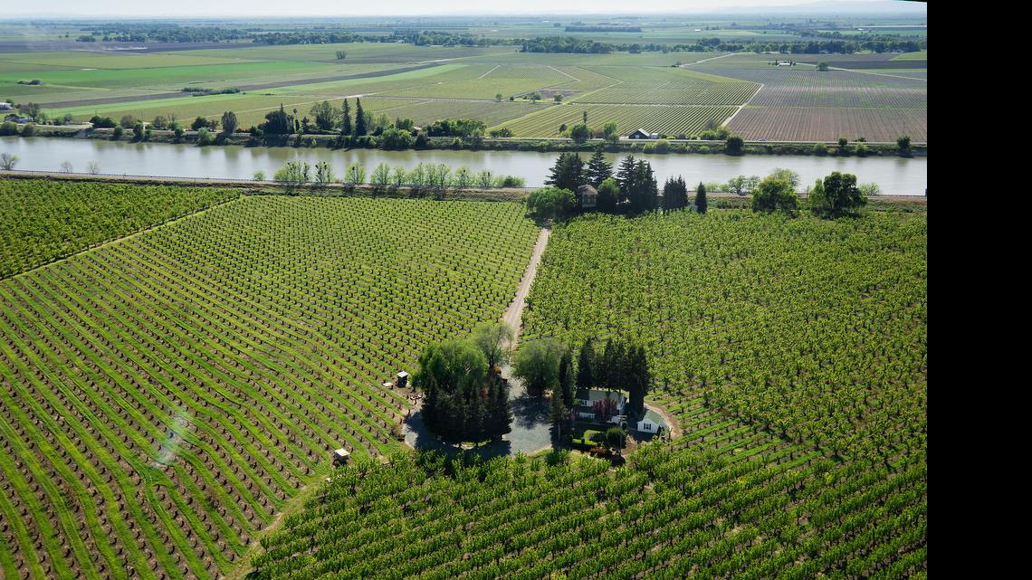 
The Courtland area would be affected by the Delta tunnels. A revised proposal puts restoration at 30,000 acres instead of the original 100,000 acres. 


