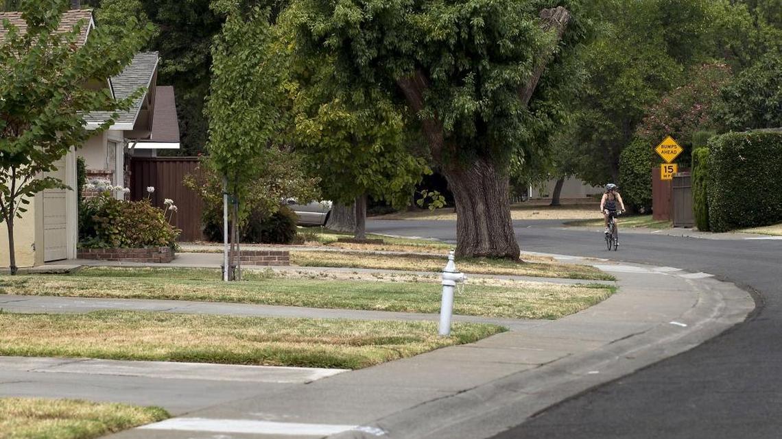 A row of homes with drought-parched lawns in the Rosemont area of Sacramento last August.