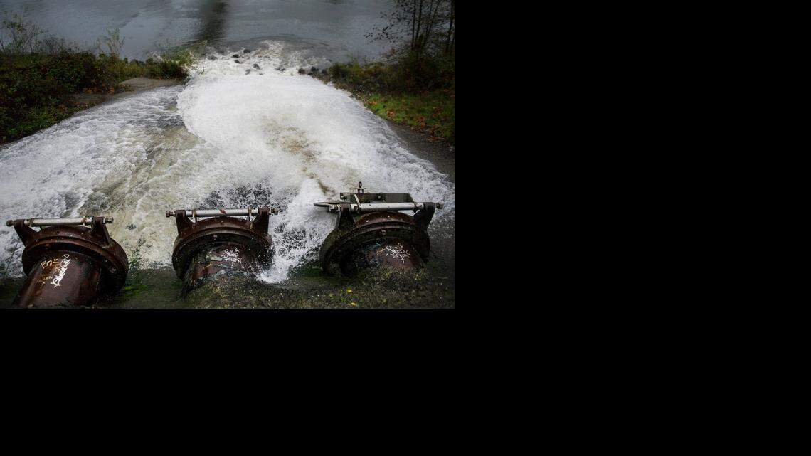 
Below the Guy West Bridge at California State University, Sacramento, storm drains empty out into the American River on Thursday.
