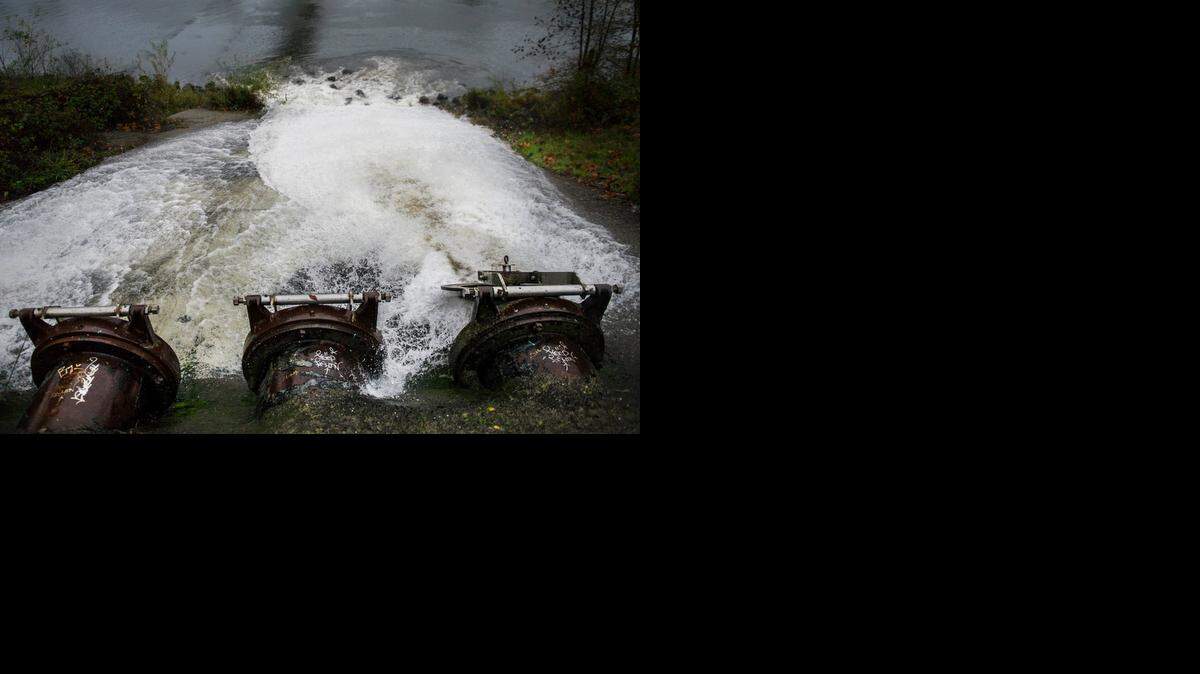 
Below the Guy West Bridge at California State University, Sacramento, storm drains empty out into the American River on Thursday.
