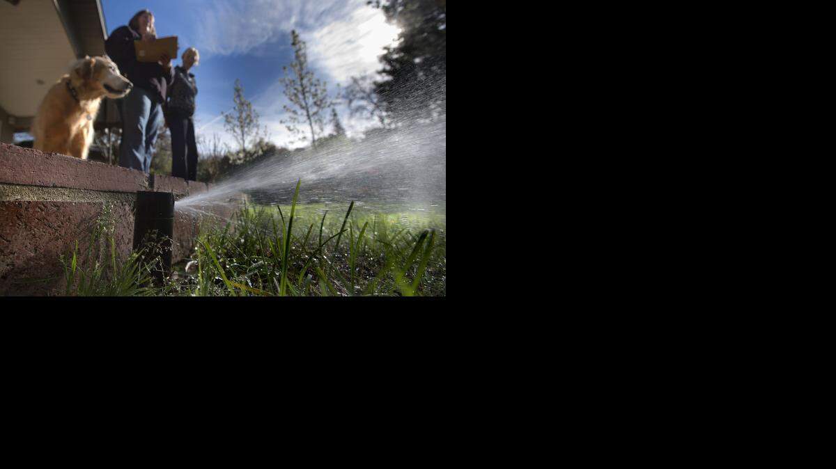 
Folsom water conservation specialist Jan Famestad, left, evaluates water usage by homeowner Ina Tompkins at her home in Folsom on March 7, 2014. Drought-caused regulations have put many restrictions on how and when residents can use water.
