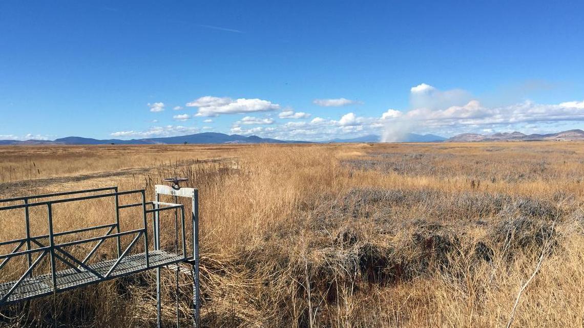 In wetter years, this marsh at Lower Klamath National Wildlife Refuge would have been filled with water and migratory birds by mid-October. But large areas of the refuge remain dry because of the drought.