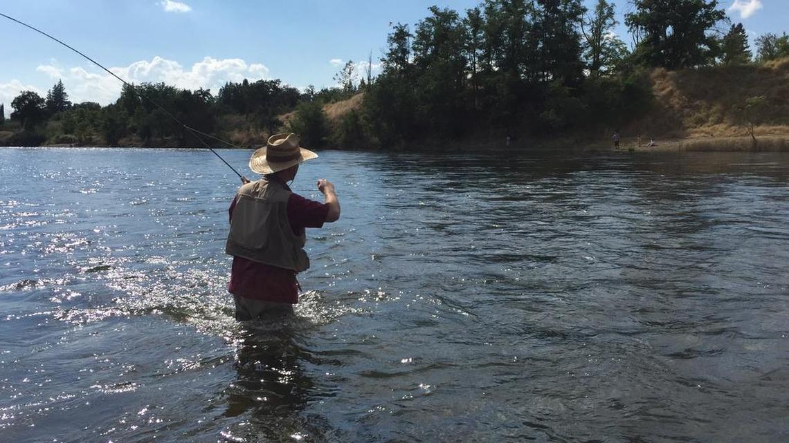 Central California fishing report: McClure bass going strong