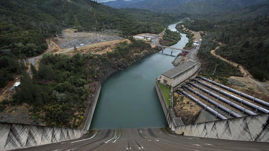 Sacramento River water that was held back this year at Shasta Dam was not enough to save fall-run Chinook salmon as they migrated toward the Delta.
