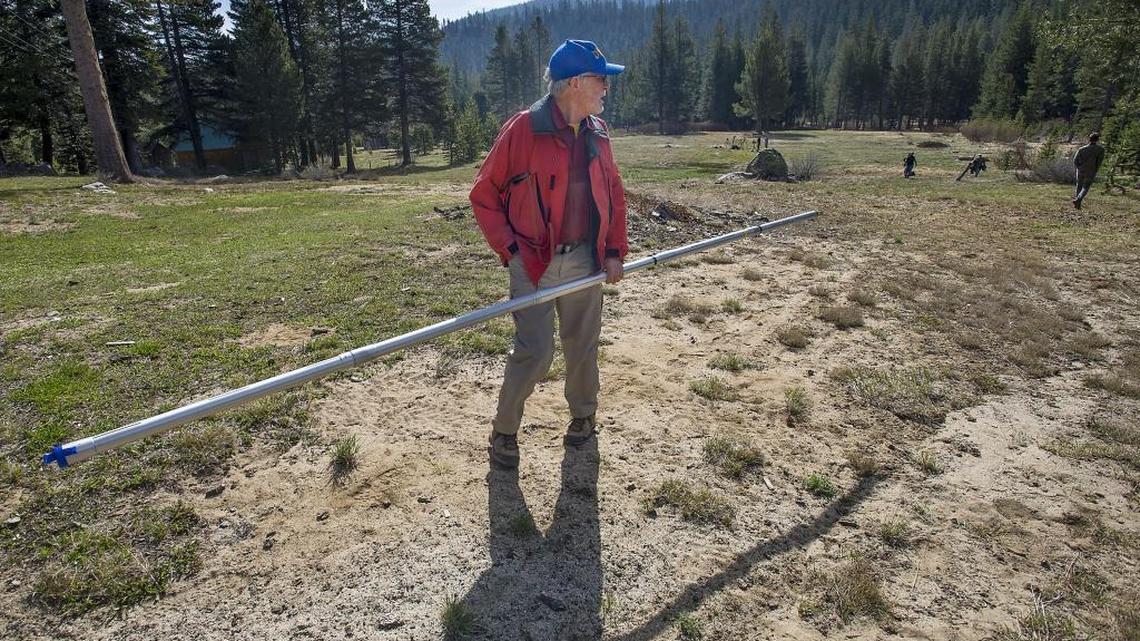 
Frank Gehrke of the California Department of Water Resources observes a lack of snow to measure during the annual snowpack survey in Phillips on April 1.
