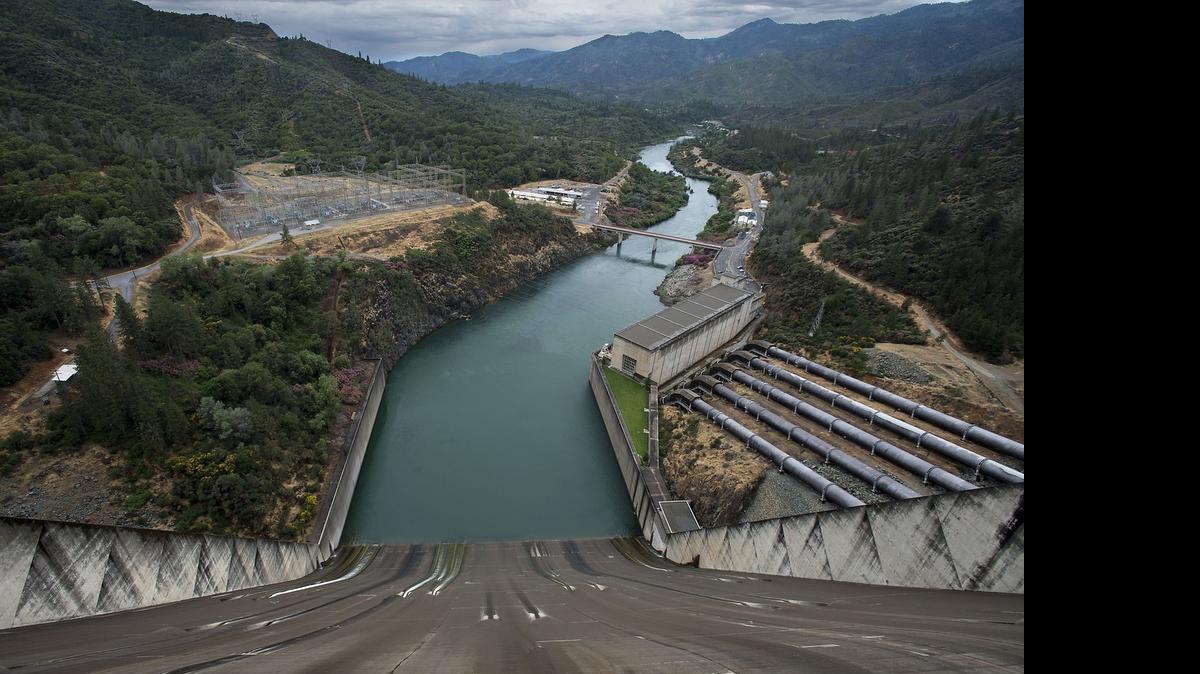 
The Sacramento River and the spillway of Shasta Dam on Wednesday, June 3, 2015. Their populations dwindling, Northern California’s fish suddenly are taking a leading role in the drought-related drama gripping the state.
