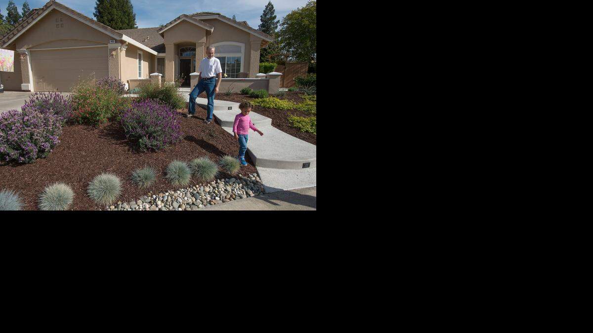 
Steve Ries and his great-granddaughter Korynn Toledo, 3, walk among the water-saving landscaping at Ries’ home in Roseville on Thursday. Ries and his wife, Kathyrn, replaced their front lawn last year with help from a city rebate. Since then, they’ve reduced their summer water usage by about 80 percent, they said. 
