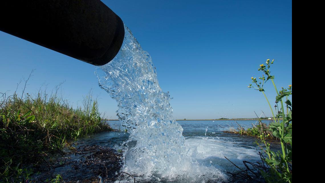 
Well water is pumped into a rice field called a “check” on rice farmer Ed Sills' organic operation last year in Pleasant Grove. Some Sacramento Valley farmers are selling part of the water allocation to customers south of the Delta.

