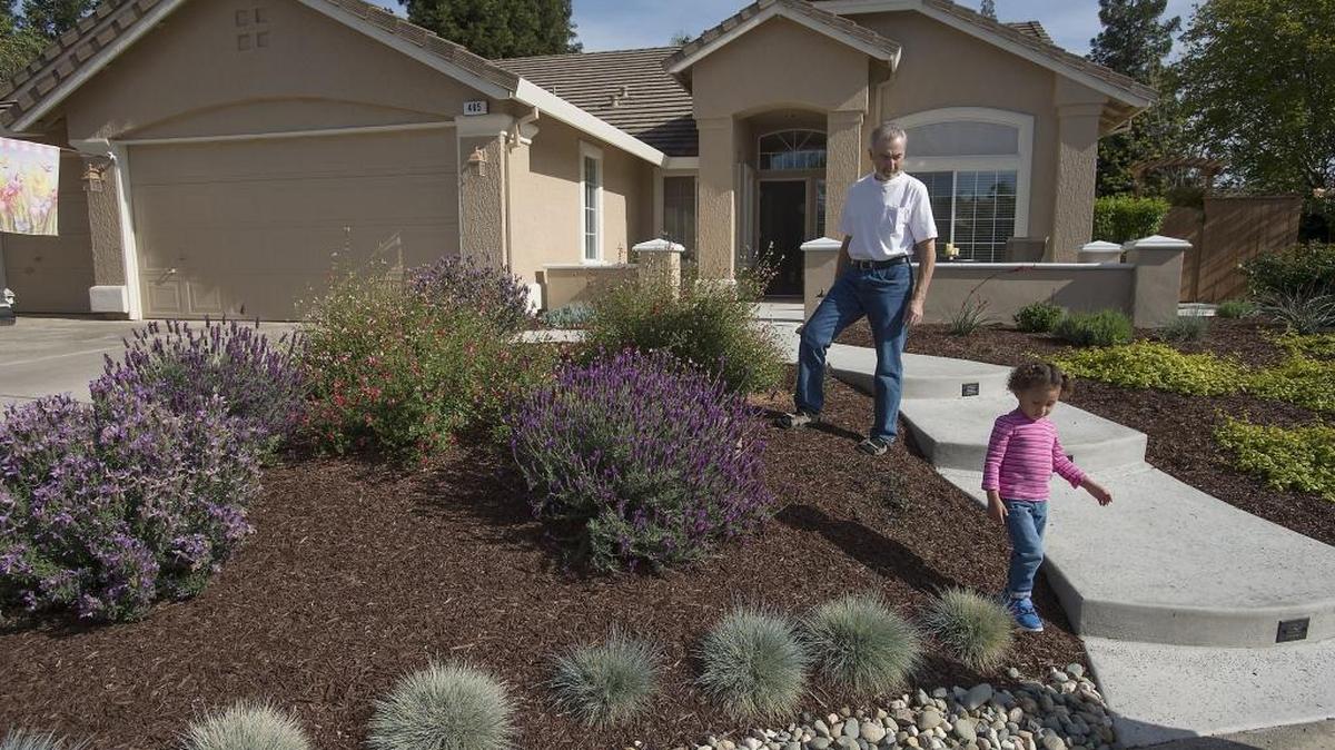
Steve Ries cut water usage at his Roseville home by 80 percent, replacing his front lawn with drought-resistant plants. 
