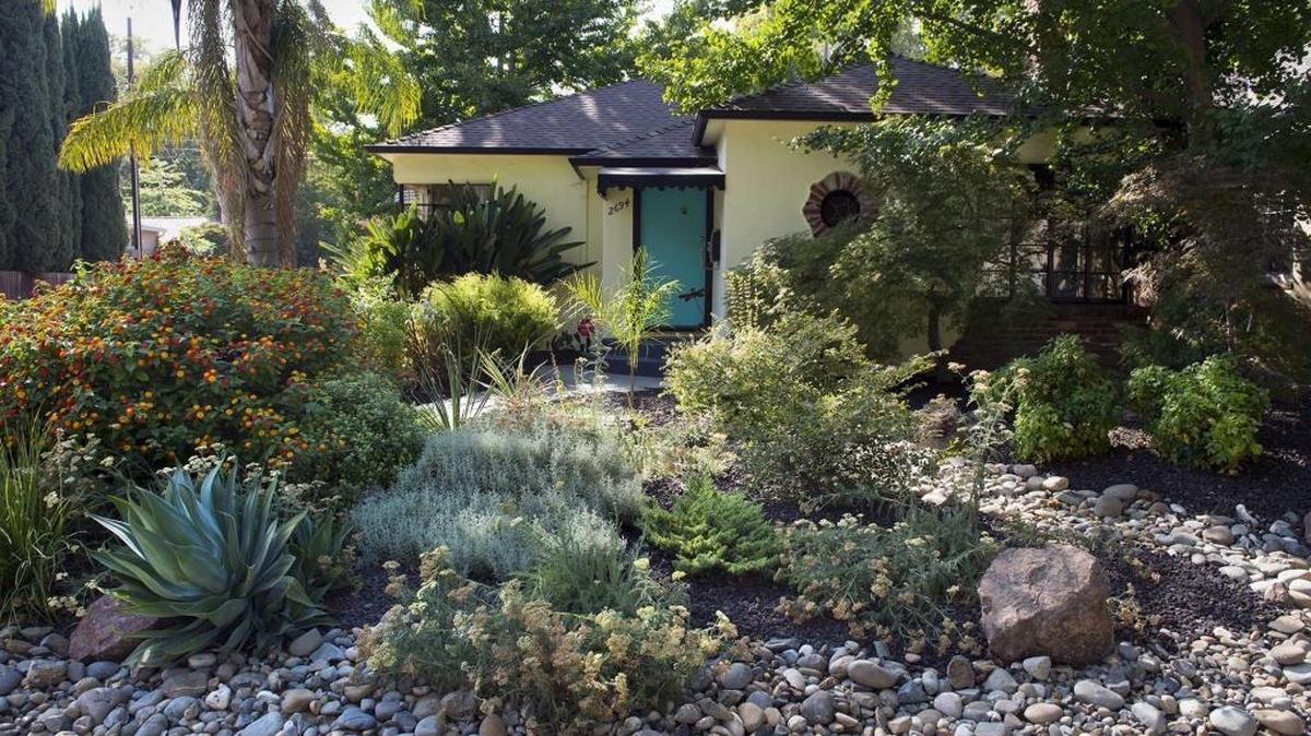 Low-water landscape guru Roberta Walker, author of numerous books on drought-proof gardens, transformed this Land Park resident into a water-wise oasis on Wednesday, July 27, 2016 in Sacramento, Calif.