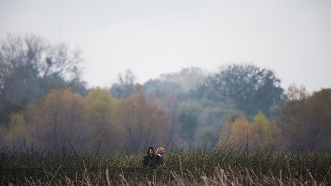 Visitors watch birds at the Cosumnes River Preserve on Nov. 26, 2016, in Galt, Calif.