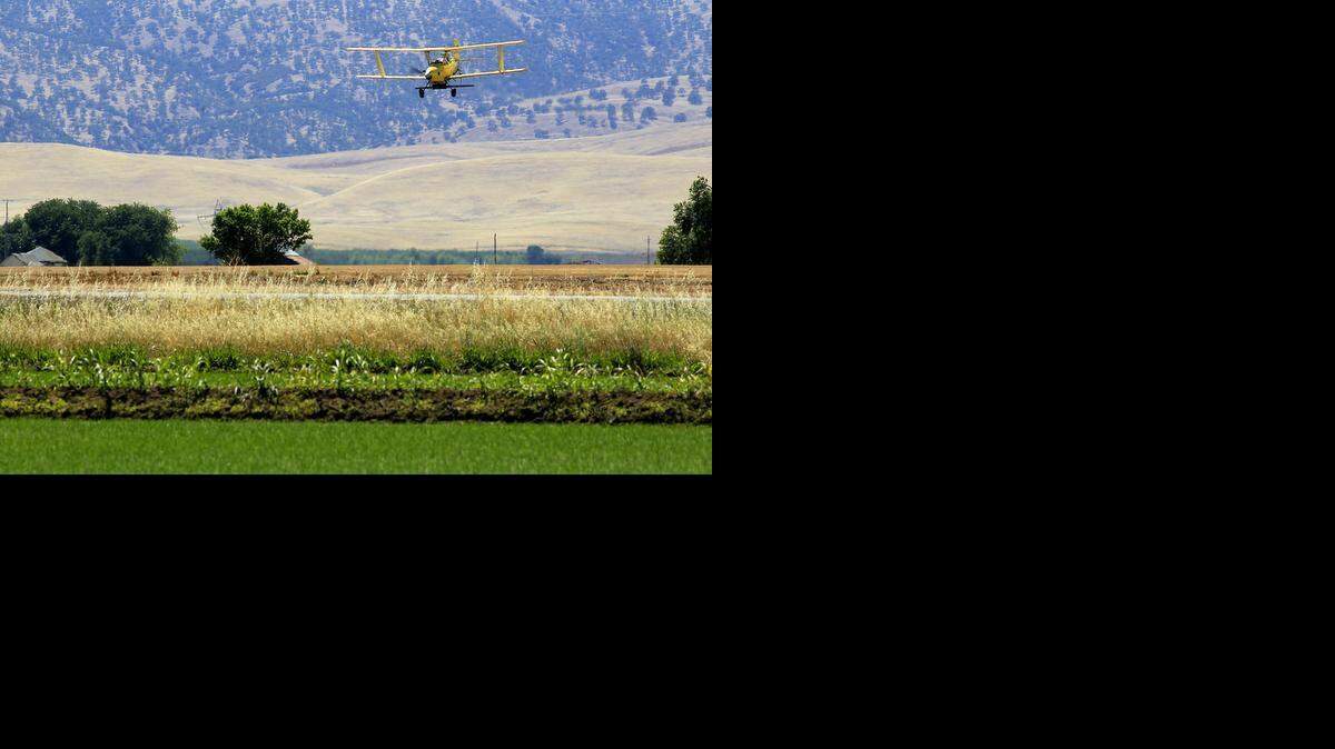 
Official measures taken at governmental levels from local to state to federal are meant to battle effects of California’s drought and further the state’s ability to keep green that which must be kept green in defiance of nature’s determined drying.

