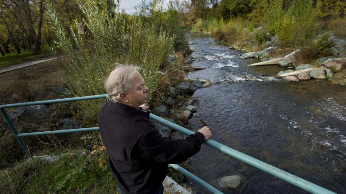 Steve Hubbardlooks out over Auburn Ravine Creek in 2014. A nonprofit is seeking volunteers to count Auburn Ravine salmon and steelhead on their home computers.