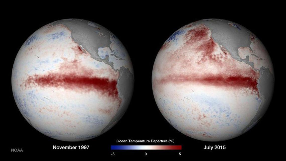 
Images from NOAA show the vast Pacific Ocean and water temperatures differences relative to historical averages in the El Niño year of 1997, left, and July 2015, right. Broad red bands show warming in both years.
