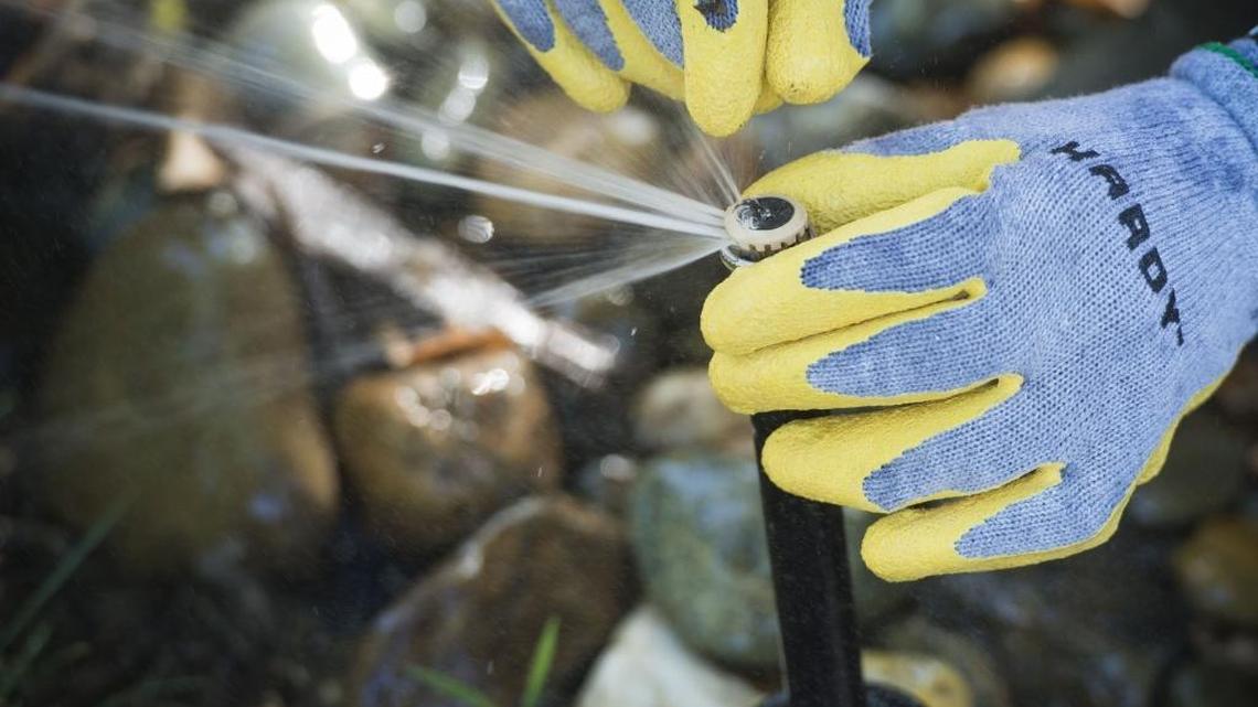A worker adjusts a sprinkler at a Sacramento home last June.