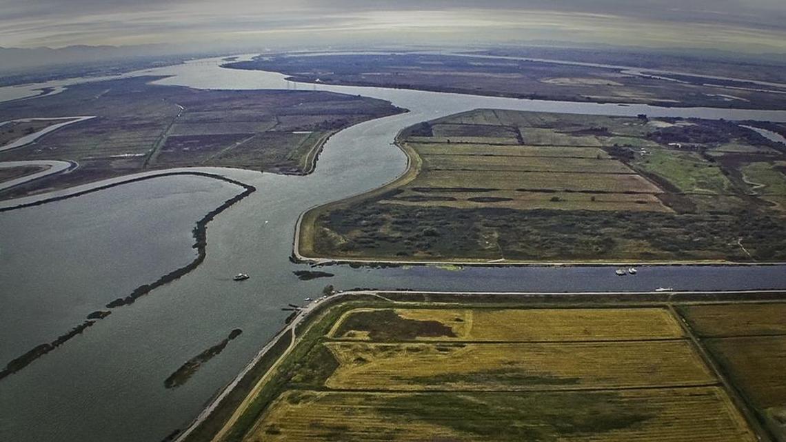 
The Sacramento-San Joaquin Delta in the heart of the Central Valley is the largest estuary on the West Coast of all the Americas, from Prudhoe Bay to Cape Horn. Diversions from the Delta provide water to cities and farms all over the southern two-thirds of the state.
