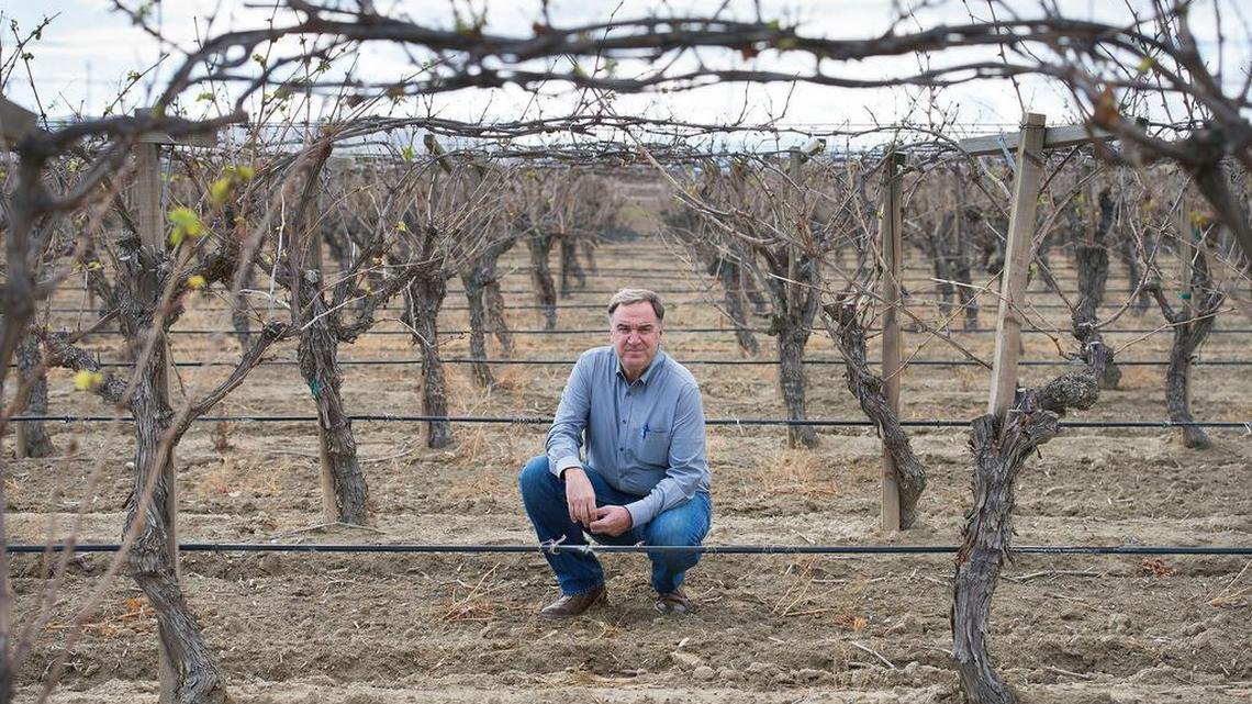 Lack of water is forcing major changes in Valley agriculture, new analysis says | Commentary