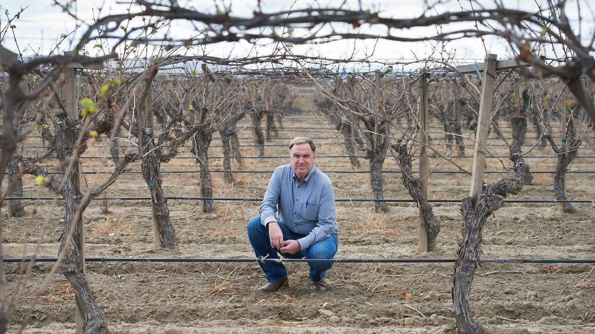 Garrett Rajkovich’s lack of water allotments has resulted in permanent farmland retirement at his farm in Fresno County.