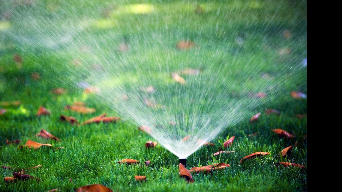 
Sacramento city residents could be limited to once-a-week watering starting in July if the city is unable to meet its state-mandated conservation goals, under a proposal outlined by city officials.
