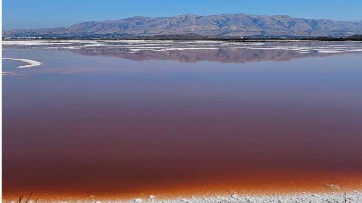Social media influencers are getting too close to a picturesque pink salt pond in California and causing big problems, officials say.