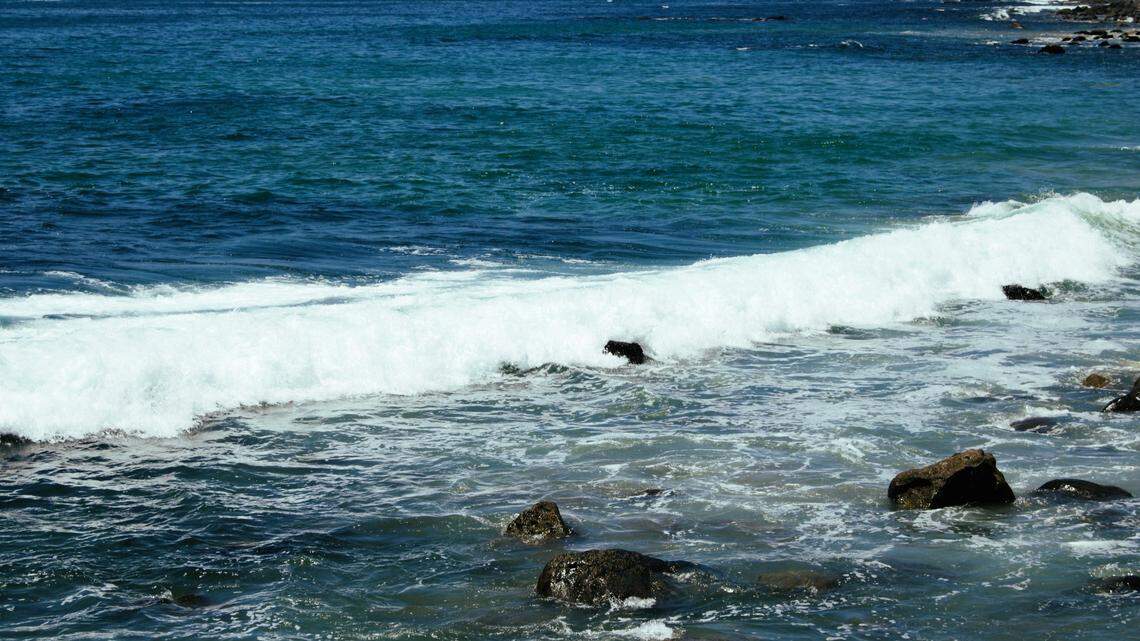 A young humpback whale was spotted breaching and tail slapping during a whale watching tour in Dana Point, California. File photo