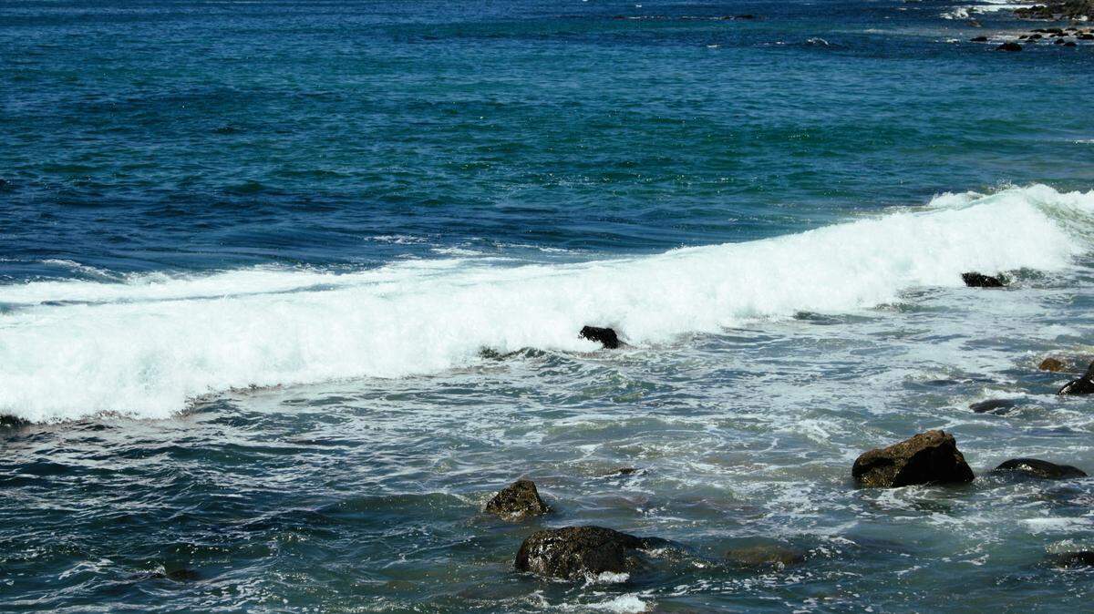 A young humpback whale was spotted breaching and tail slapping during a whale watching tour in Dana Point, California. File photo