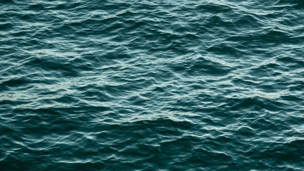 Sea creatures were spotted feeding on fish off the coast of California.