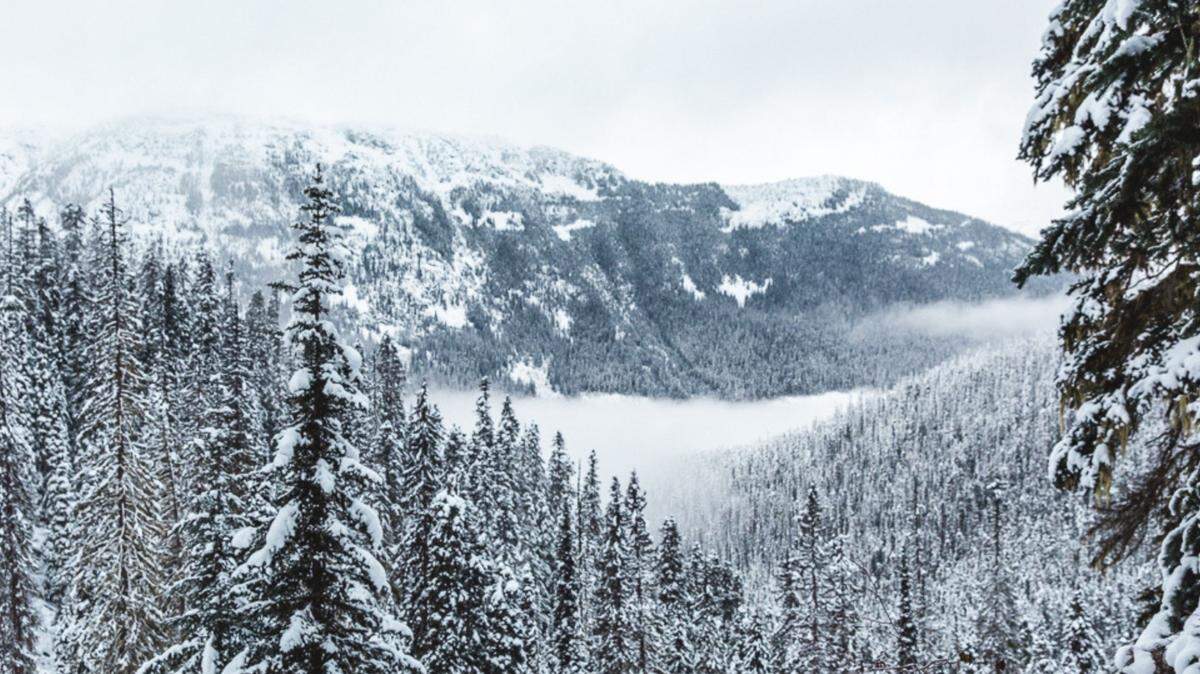 A 45-year-old climber was rescued from Mount Hood in Oregon after getting lost, rescuers said.
