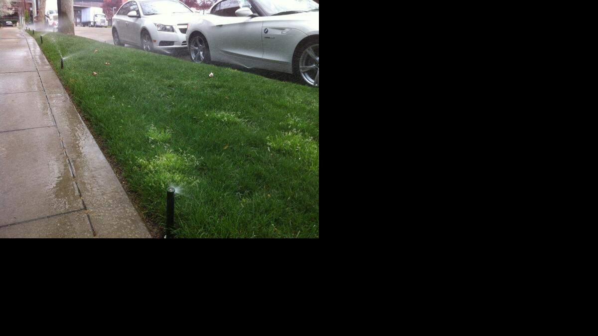 
These sprinklers were running at the corner of 22nd and S streets in Sacramento on Wednesday, moments after a storm cleared. This would become illegal under state law if the State Water Resources Control Board enacts a series of new water conservation rules at its meeting next week.
