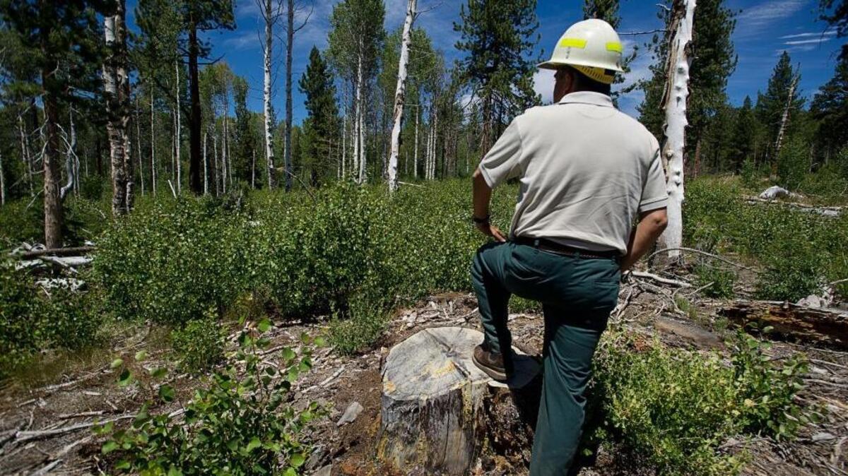 A federal appeals court has ruled that the U.S. Forest Service was on solid legal ground when it put nearly 90 percent of “user created” miles off-limits to motorized vehicles in the Tahoe National Forest, seen here in 2012.