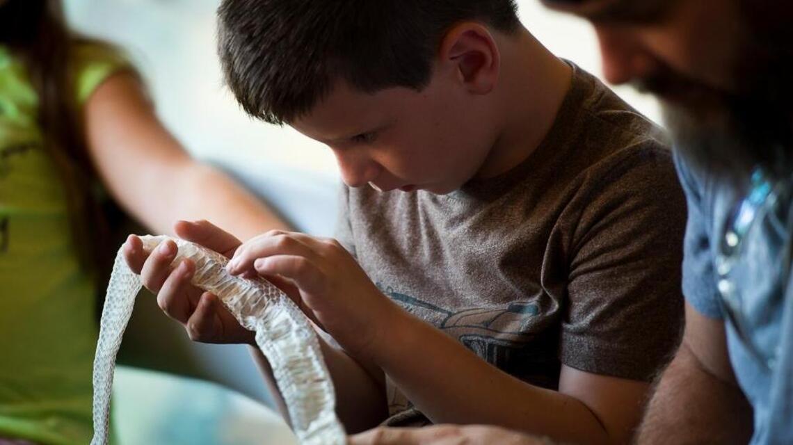 Animal shows, food trucks, the great outdoors? Check out NatureFest in Carmichael